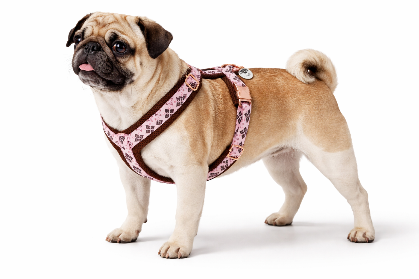mops-rosegold-blütenpfote